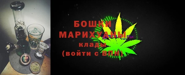 прущие грибы Заполярный
