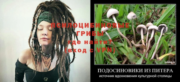 амф Киренск