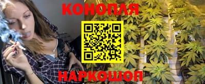 соль ск Ипатово