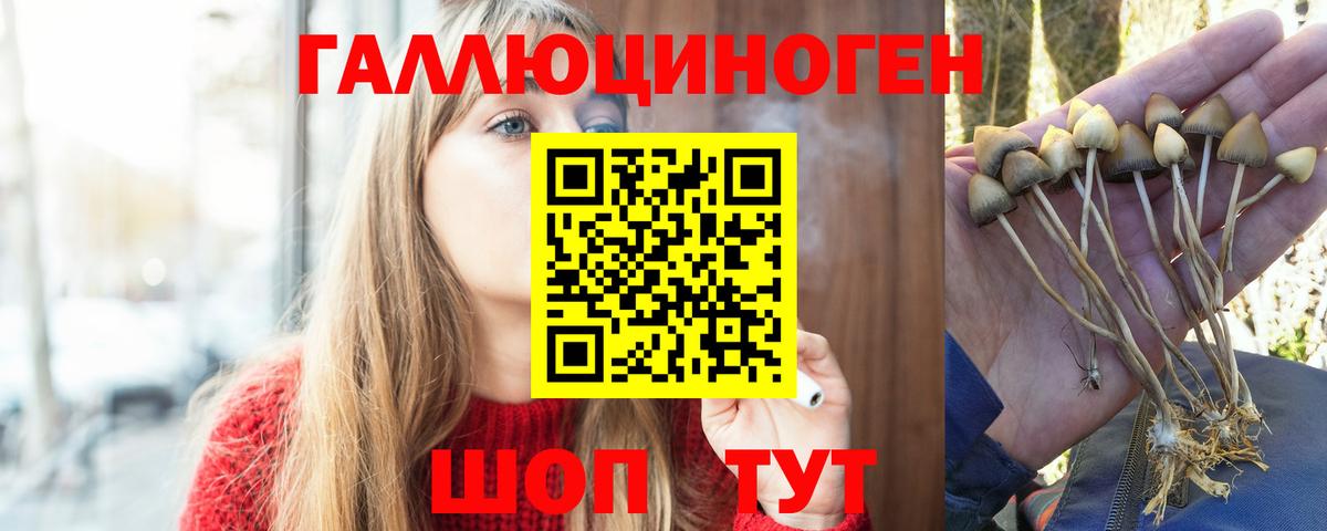 A-PVP Сызрань